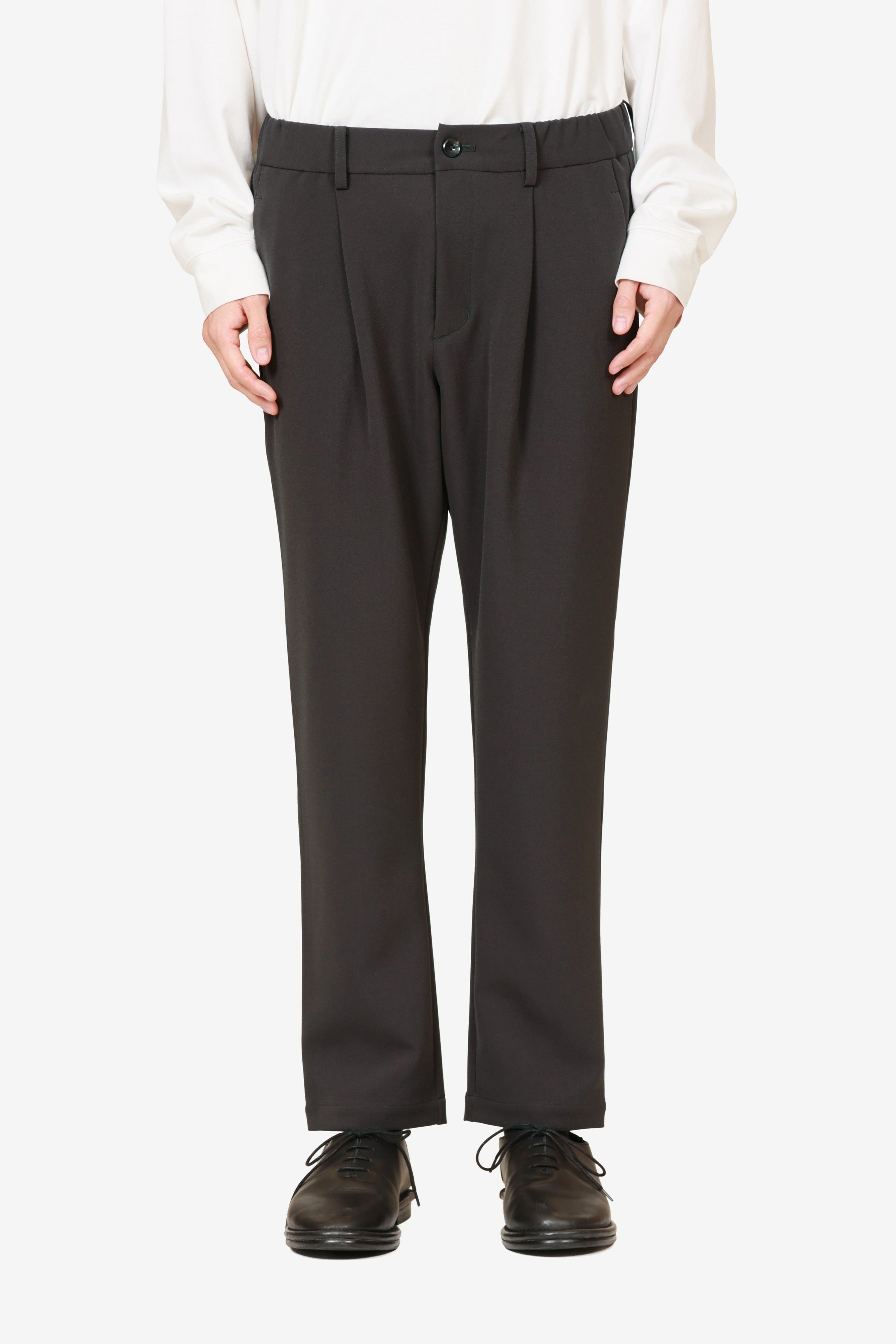 AP52-079 ポリエステルストレッチダブルクロス レギュラーフィットイージーパンツ