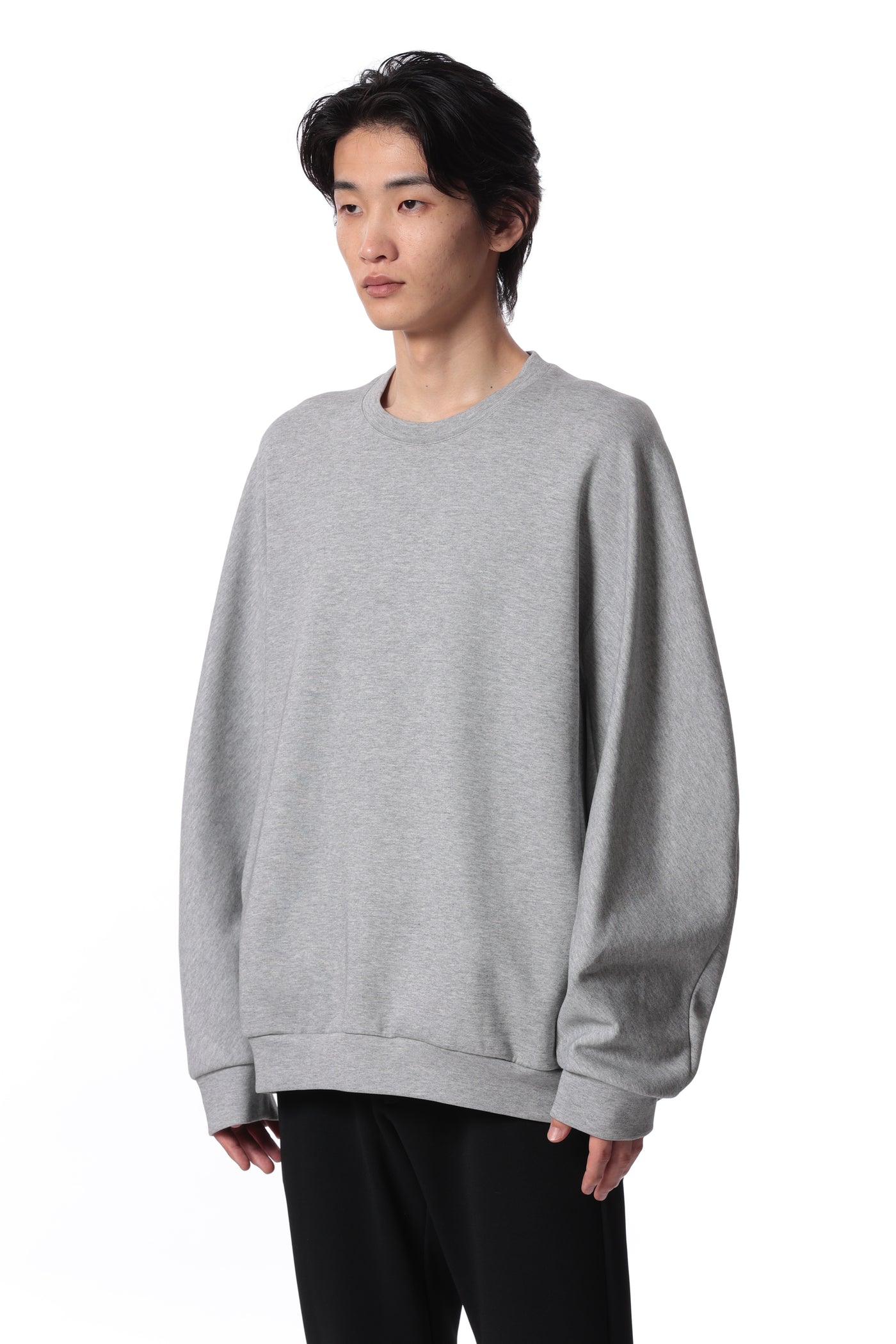 Released in February AJ41-024 Cotton/Polyester Double Knit Pullover Sweatshirt